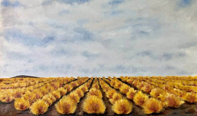 Campos, obra de Teresa Berruguete